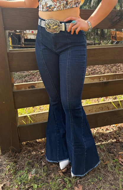 Lucky Horseshoe Flare Jeans